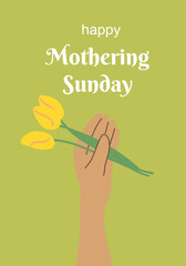 Happy mothering sunday card with hand holding yellow tulips on green background.