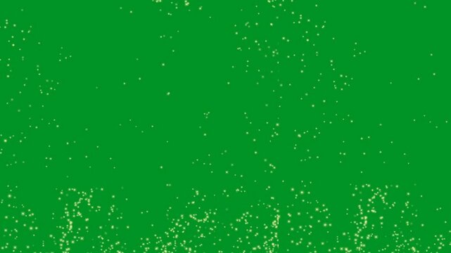Glowing Firefly on Green Screen, Easy editable green screen video, high quality vector 3D illustration. Top choice green screen background