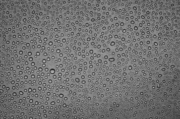 Top view of rain water droplets with black background. Suitable for wallpaper cover design