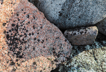 Close-up view showcasing various rock formations with unique textures and colors in a natural outdoor environment, highlighting the beauty of geology.