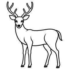 Elegant One-Line Deer Illustration Vector