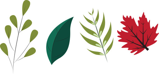 flat deign of different leaves