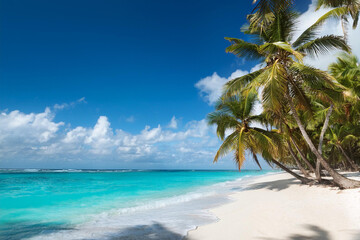 Fototapeta premium Sandy beach with coconut palm trees in the turquoise sea on Paradise island. Royalty high-quality free best stock of Panoramic beach landscape. Inspire tropical beach seascape horizon, Summer vacation
