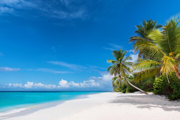 Obraz premium Sandy beach with coconut palm trees in the turquoise sea on Paradise island. Royalty high-quality free best stock of Panoramic beach landscape. Inspire tropical beach seascape horizon, Summer vacation