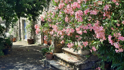 Maison en pierre, fleurie de lauriers roses, dans la vallée de l'Ibie dans le département de l'Ardèche en France