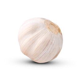 Garlic Isolated on white background