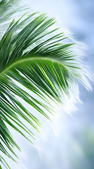 Fototapeta premium Lush green palm frond against a bright, blurred sky; tropical vacation background