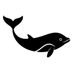 Obraz premium a dolfine