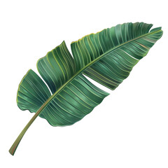 Fototapeta premium large, vibrant green tropical leaf with distinct ribbing and glossy texture, perfect for adding natural touch to any design