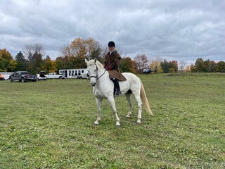 horse riding in the field