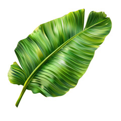 Fototapeta premium vibrant green tropical leaf with glossy texture, showcasing its intricate veins and natural beauty. Perfect for nature themed designs or backgrounds