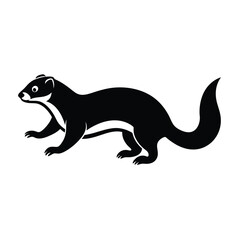 ferret vector illustration