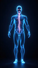 Vagus Nerve Stimulation Visualization