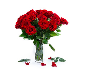 Red flowers roses in glass vase with petals on a white background with space for text