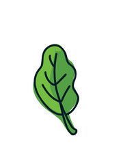  minimalist outline leaf