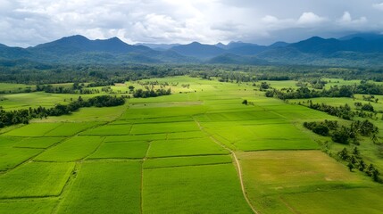 Fototapeta premium Lush Agricultural Landscape with Eco-Friendly Irrigation System and Renewable Energy