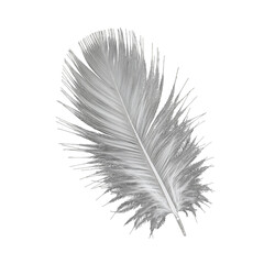 Fluffy white bird feather plume, close-up detail, black background, isolated.
