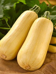 Pale yellow squashes on burlap, nestled amongst green leaves.
