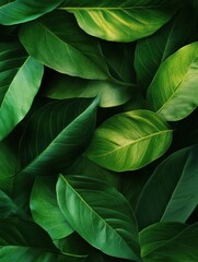 Tropical green leaves texture background