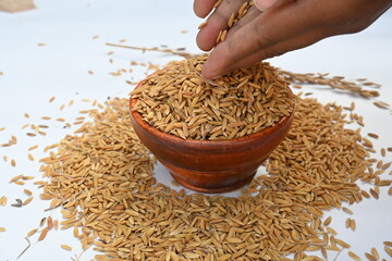 Wooden bowl filled with paddy. Its called brown rice or unmilled rice. Rice is produced by removing...