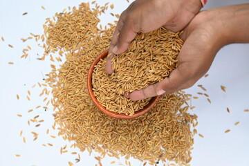 Wooden bowl filled with paddy. Its called brown rice or unmilled rice. Rice is produced by removing...