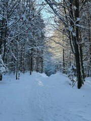 Winter in den Bergen 