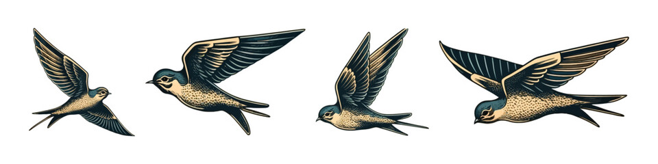 Obraz premium Birds illustration. Hand drawn bird collection.