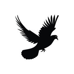 Pigeon illustration vector on white background.