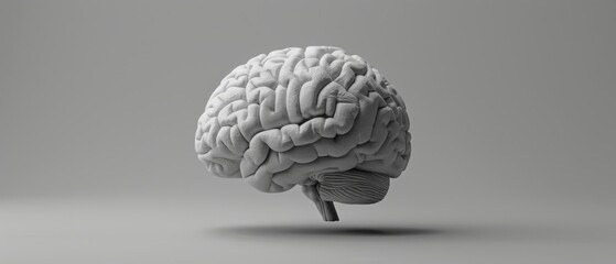 Realistic brain image on grey background, great for scientific publications, educational presentations or medical articles.