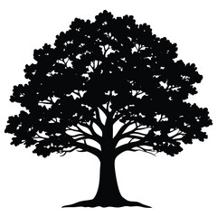 vector ancient oak tree silhouette