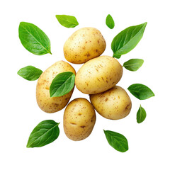 Fresh Raw Potatoes with Green Leaves Isolated on White Background