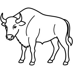 One-Line Buffalo Vector Illustration