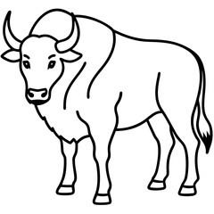 One-Line Buffalo Vector Illustration