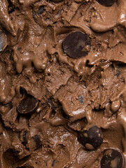 Indulge in creamy chocolate ice cream gelato featuring rich dark chocolate chips, perfect for a sweet treat on a warm day