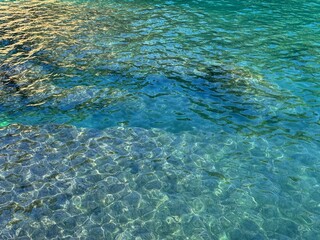 Emerald green blue sea water with seaweed at the bottom