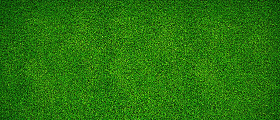 Green lawn grass texture background