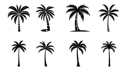 Set of Palm Tree Vectors  Tropical Collection for Digital and Print Use