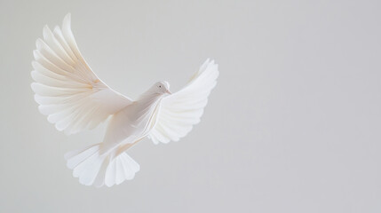 Obraz premium Graceful white dove in flight with open wings against a light background symbolizing peace and freedom