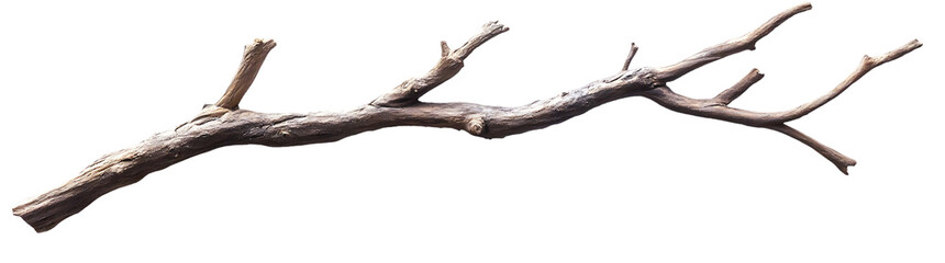 Branching Out Single Brown Wood Branch Isolated on White and Transparent Background