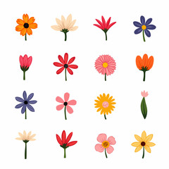 Obraz premium Set of flowers, set of vector flowers 