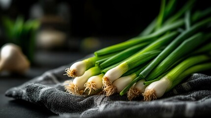 Fresh Green Onions on Dark Background