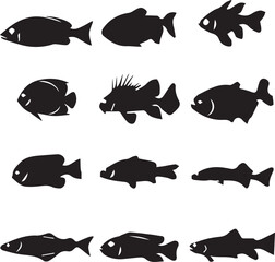 Many Type Of Fishes Silhouette