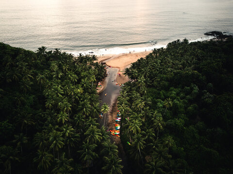 Fluss Am Strand, umgeben von einem Palmenwald in Goa Indien. Der Fluss ist voller Kajaks