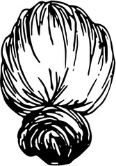Hairstyle. Hand drawn vector isolated sketch.Chignon 