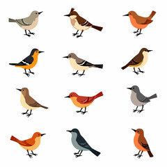 Set of spring birds. Different birds. Beautiful and cute multi-coloured birds. Vector cartoon illustration in childish style. Images are isolated on white.