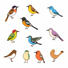 Set of spring birds. Different birds. Beautiful and cute multi-coloured birds. Vector cartoon illustration in childish style. Images are isolated on white.