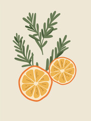 stylish grapefruit and orange slices, vector art
