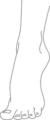 Fototapeta premium black and white line drawing of a female foot. Illustration isolated on white background