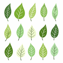 set of green leaves