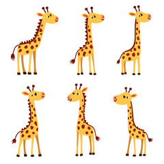 Set of giraffe vector illustration   © Chelsea